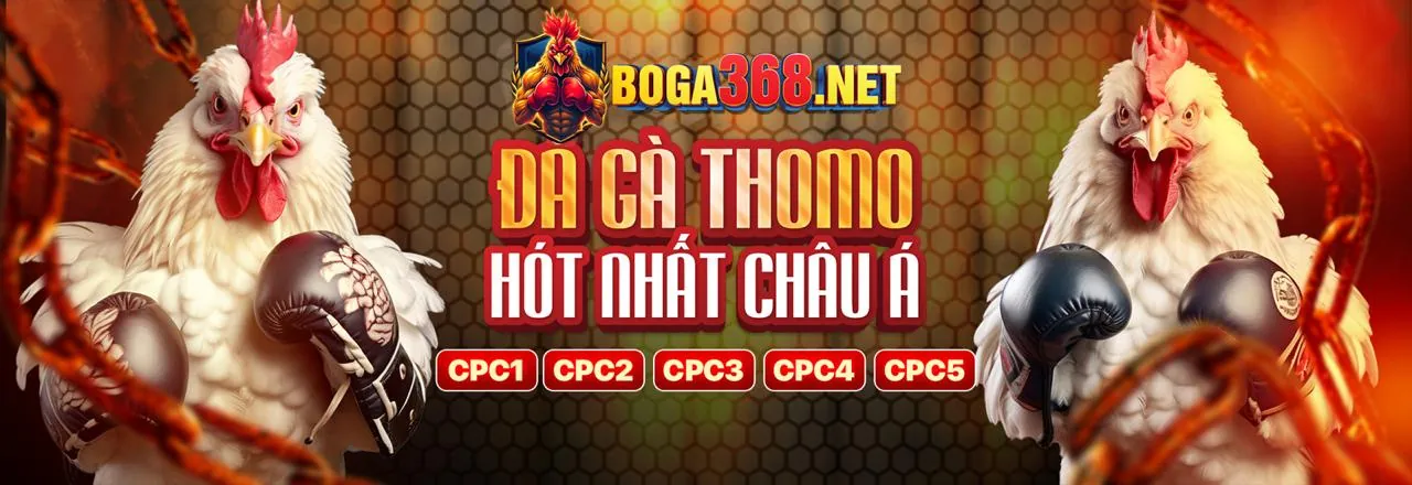 Đá gà trực tuyến King98 Link Vào với không khí sôi động